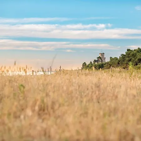 Palazzo Del Mare Int4 Silvi *